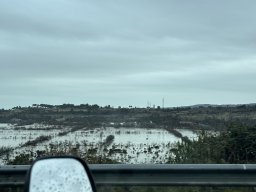 278-20-01-2026 IMG_3507